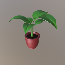 Potted Plant