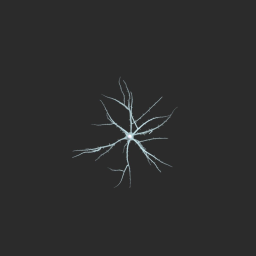 [(Neuron)] Spinous Stellate Cell