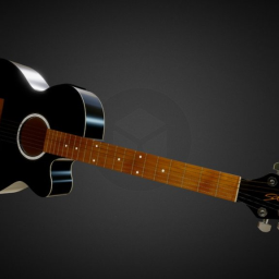 Acoustic Guitar