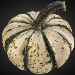 Sweet Dumpling Squash