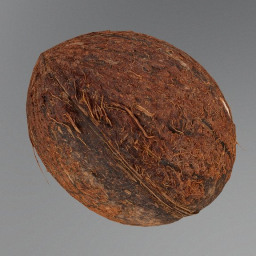 Coconut