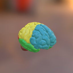 Brain Project