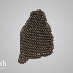 Honeycomb