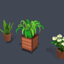 House plants
