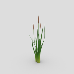Underwater plant