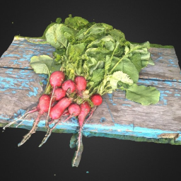 Red radishes