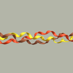 Collagen Molecular Structure