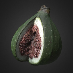 Fig (Ficus carica)
