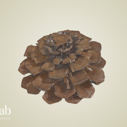 Deodar cedar cone rose