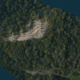 Point Cloud of Pine forest  Geology