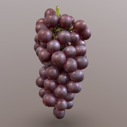 Grape &quot;King Delaware&quot;  Pu Tao (kinguderauea)