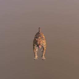 Leopard Main
