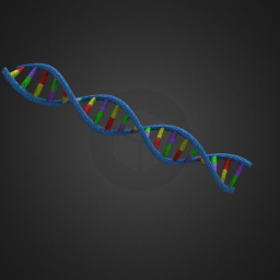 DNA