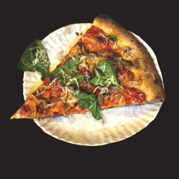 Day 292: Pizza Slice