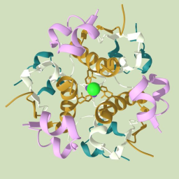 Human Insulin Hexamer Molecular Structure