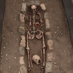 Skeleton excavation dataset
