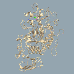 Human Salivary Amylase Molecular Structure