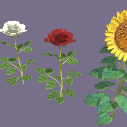 Flowers(Rose and Sunflower)