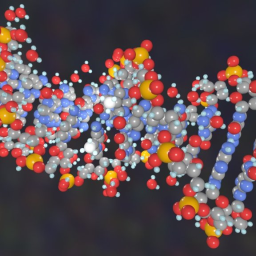 DNA Methylation (with H)