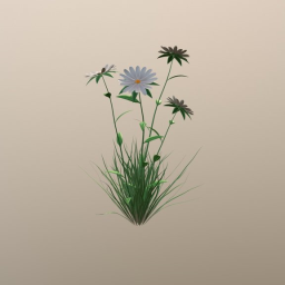 white flower