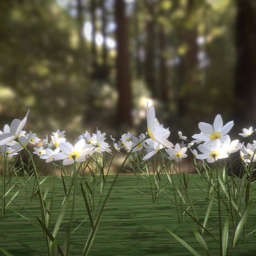 Flowers