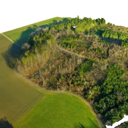 Fl&#228;chenermittlung Forstwirtschaft GIS und GPS
