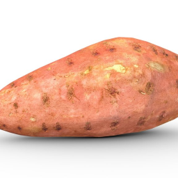 Sweet Potato (Game Ready  2K PBR)