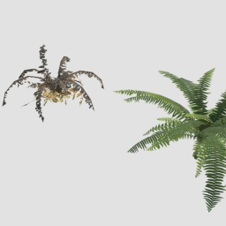 Plants