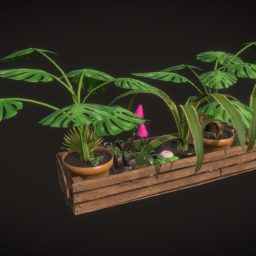 Plants (Foliage study)