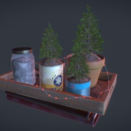 Mini Plants