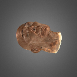 Head