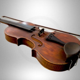 Violin