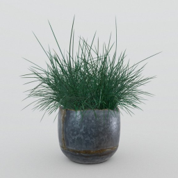 Grass in a plant pot