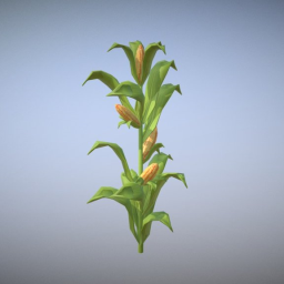 Corn! Corn! Corn!