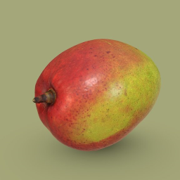 Colorful Mango
