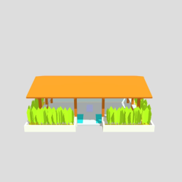 Yoga Studio