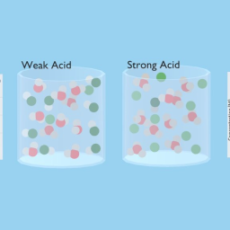Weak vs Strong acid