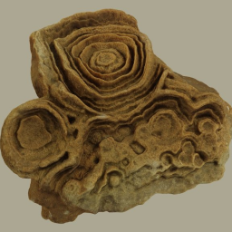&quot;Desert rose&quot;