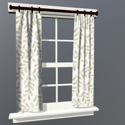 Window