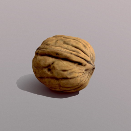 Walnut