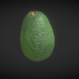 Avocado