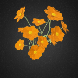 Orange flowers - calendula
