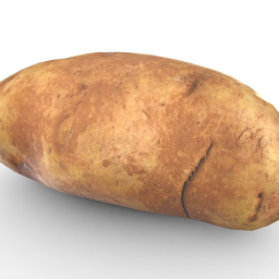 Russet Potato