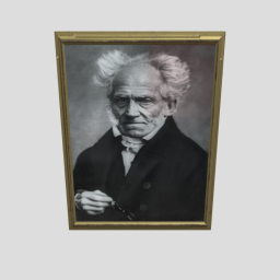 Schopenhauer Picture With Frame