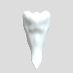 Perri Sansi Teeth Pack