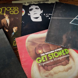 rock&#39;s vinyl