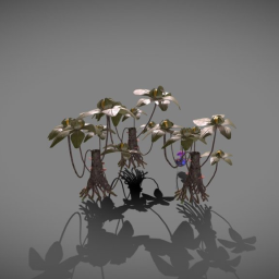 Projet Aaron - Stange Plant Collection