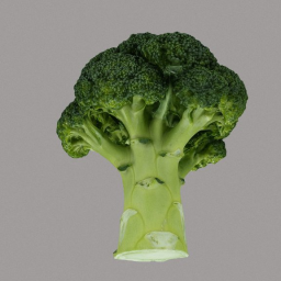 Broccoli (3d Scan)