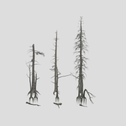 Darck Forest