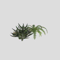 All Plants